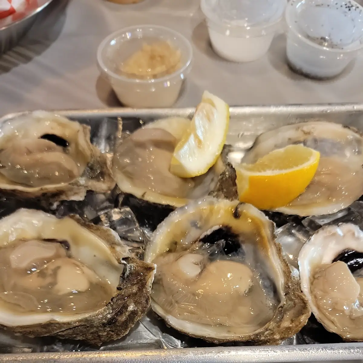 Oysters on the Half Shell