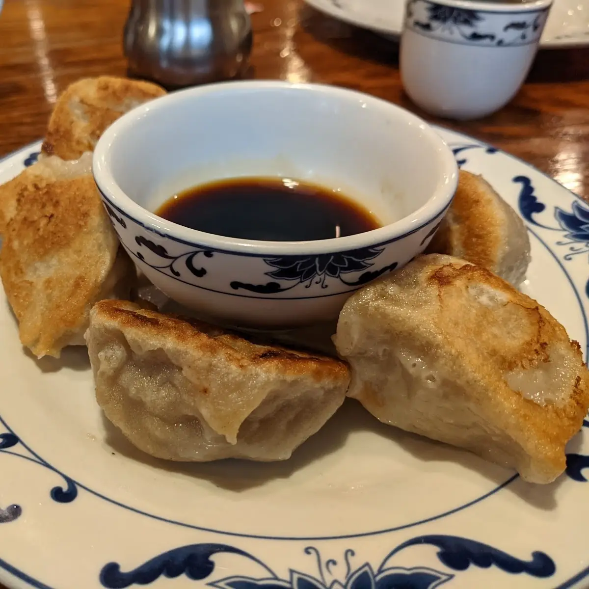 Pan-Fried Dumplings