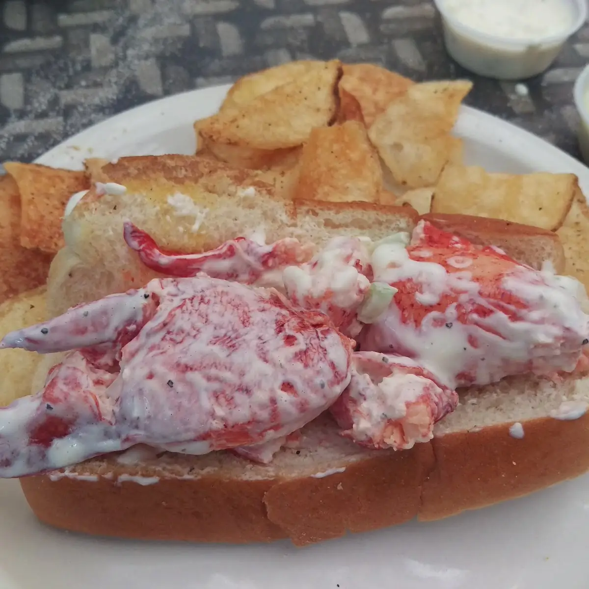 Lobster Roll--Once a Year Special