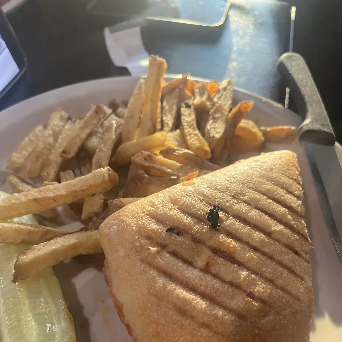 Pepperoni Pizza Panini