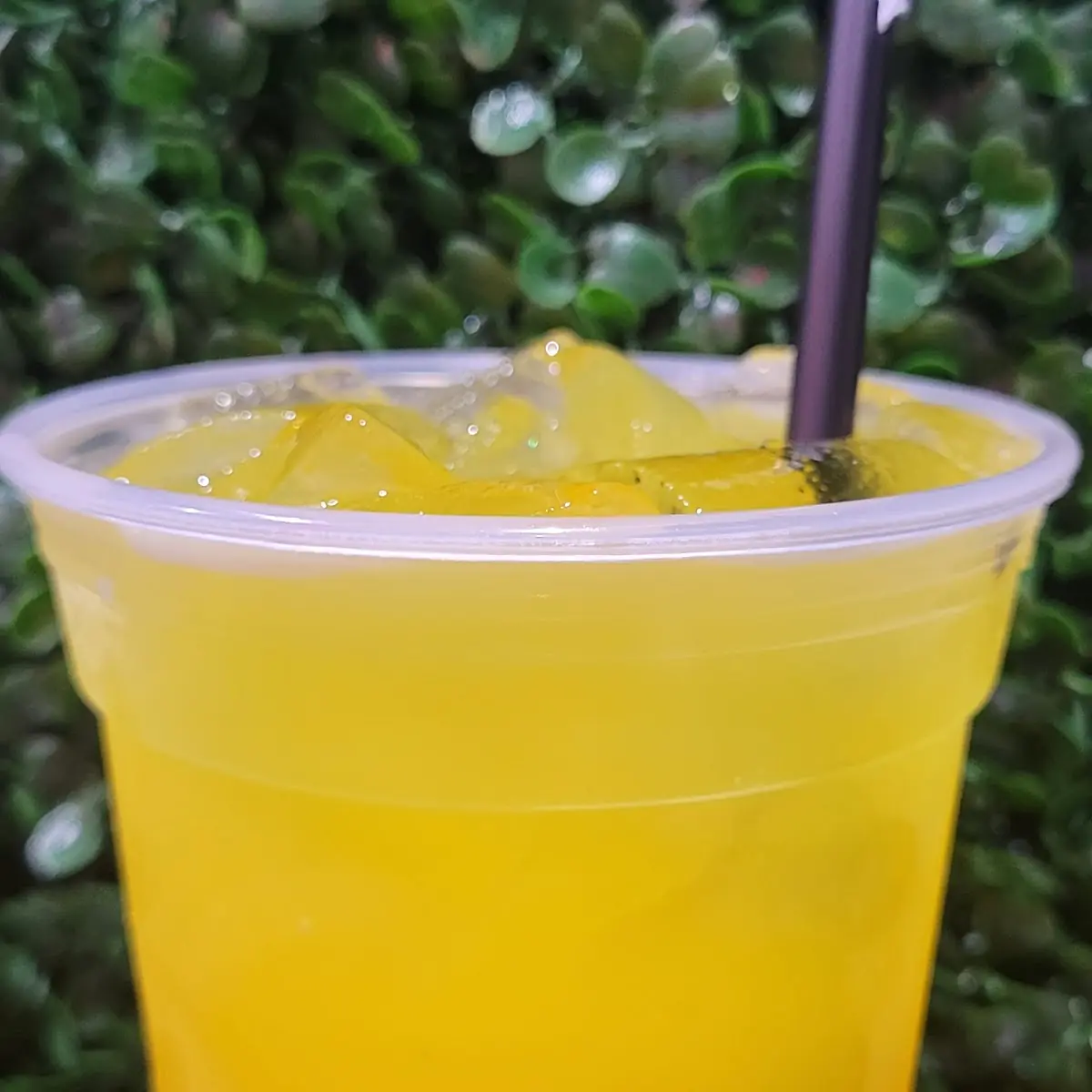Agua Fresca De Parcha
