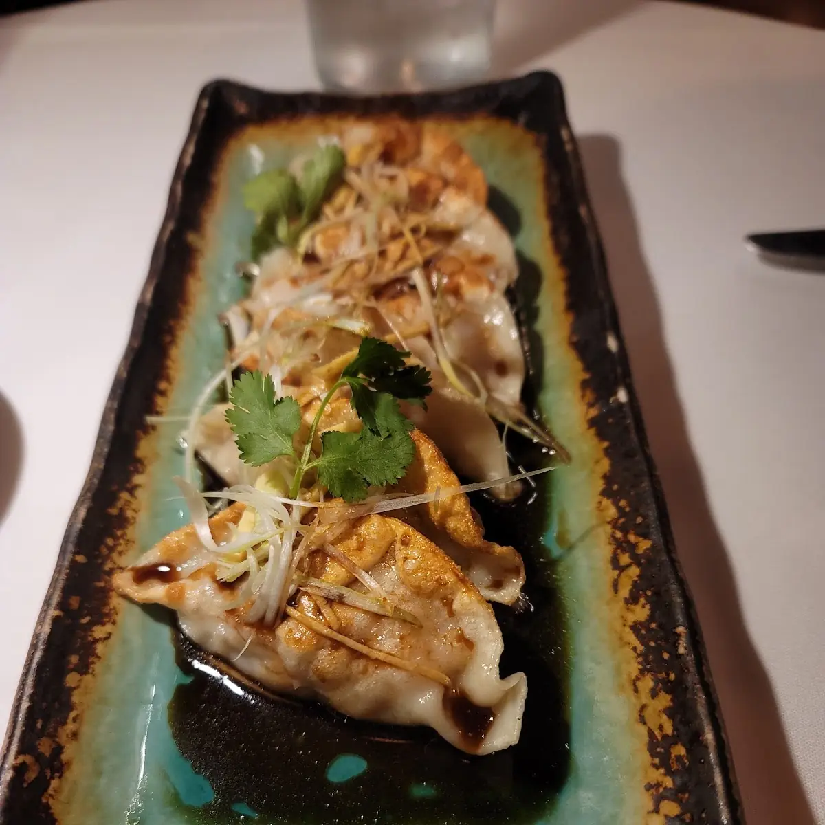 Pan Seared Chicken Dumplings