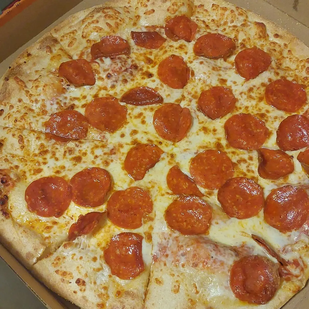 Nasty Pizza Pepperoni Pizza