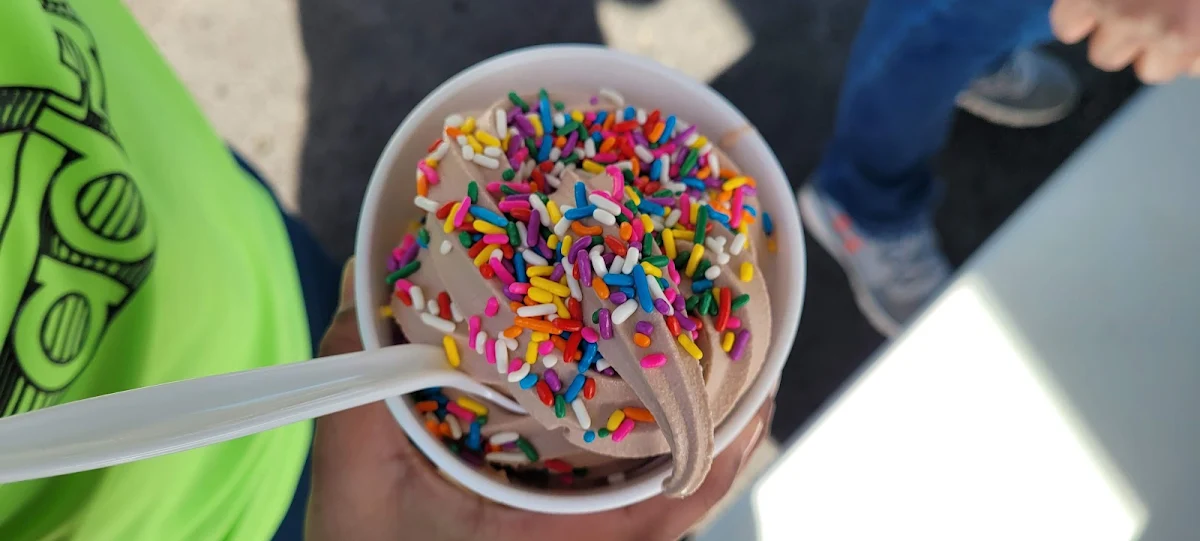 Chocolate Ice Cream