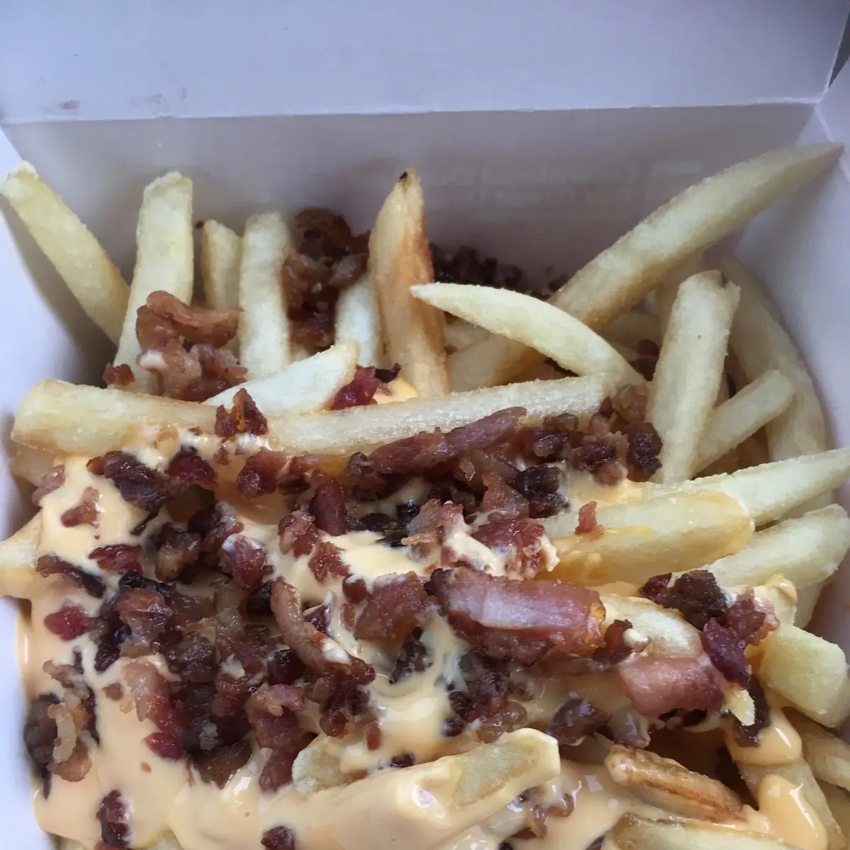 World Famous Fries