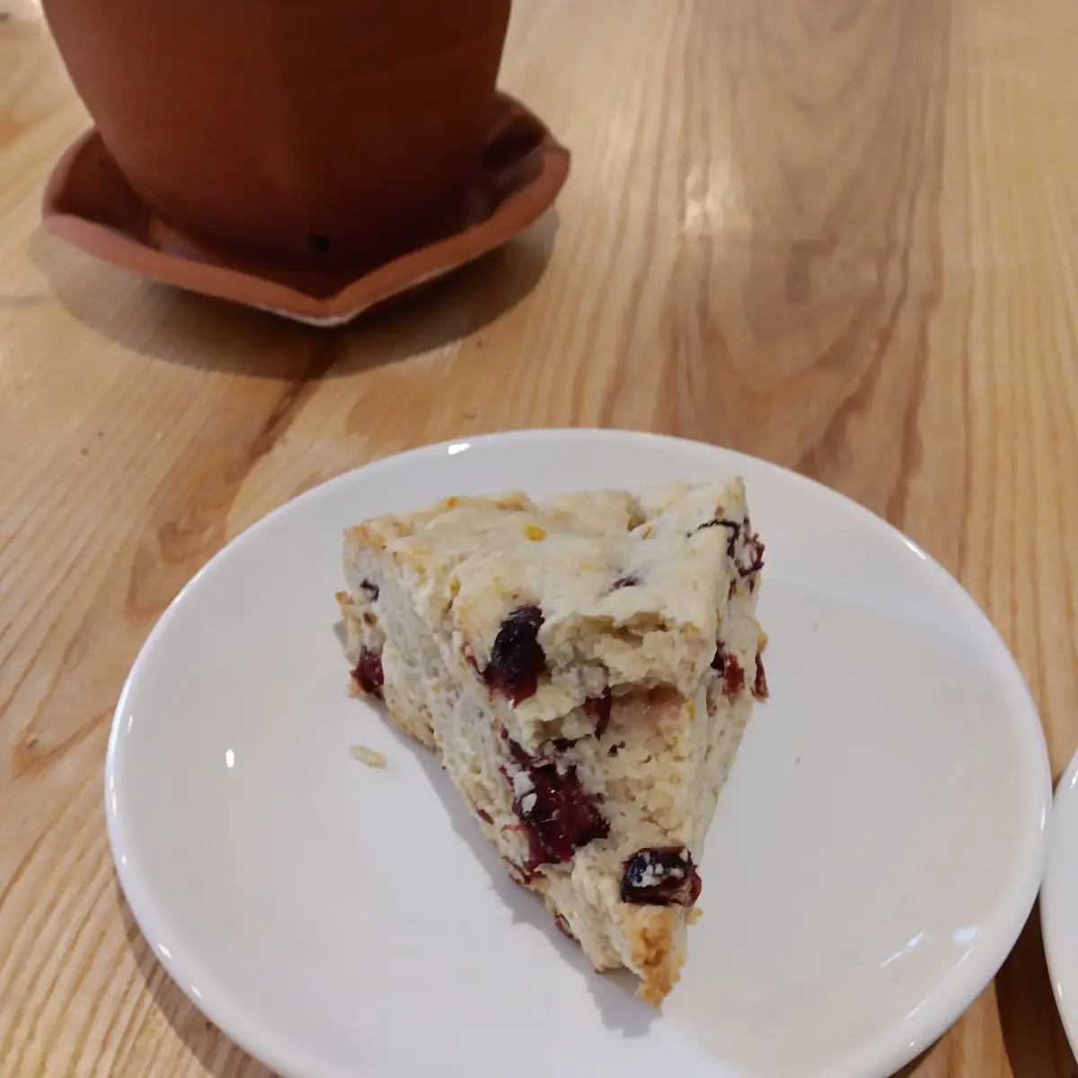 Cranberry Orange Scone