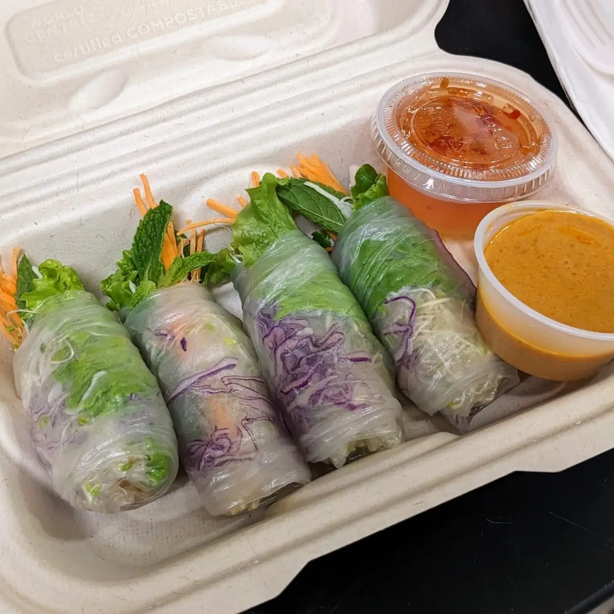 Fresh Veggie Spring Rolls