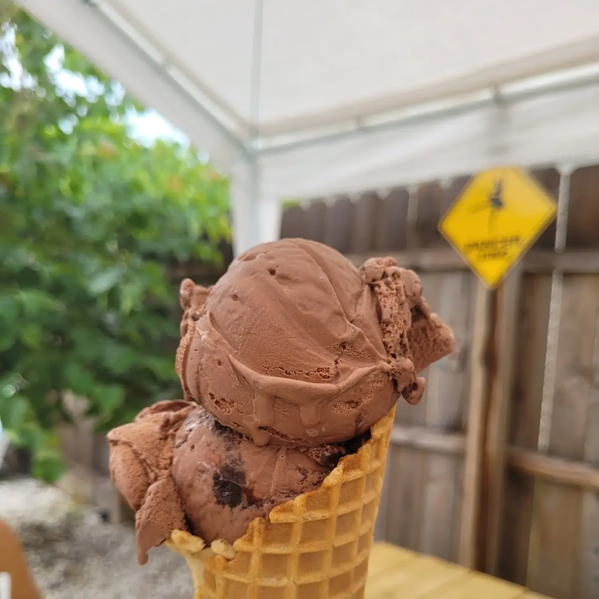 Chocolate Fudge Brownie