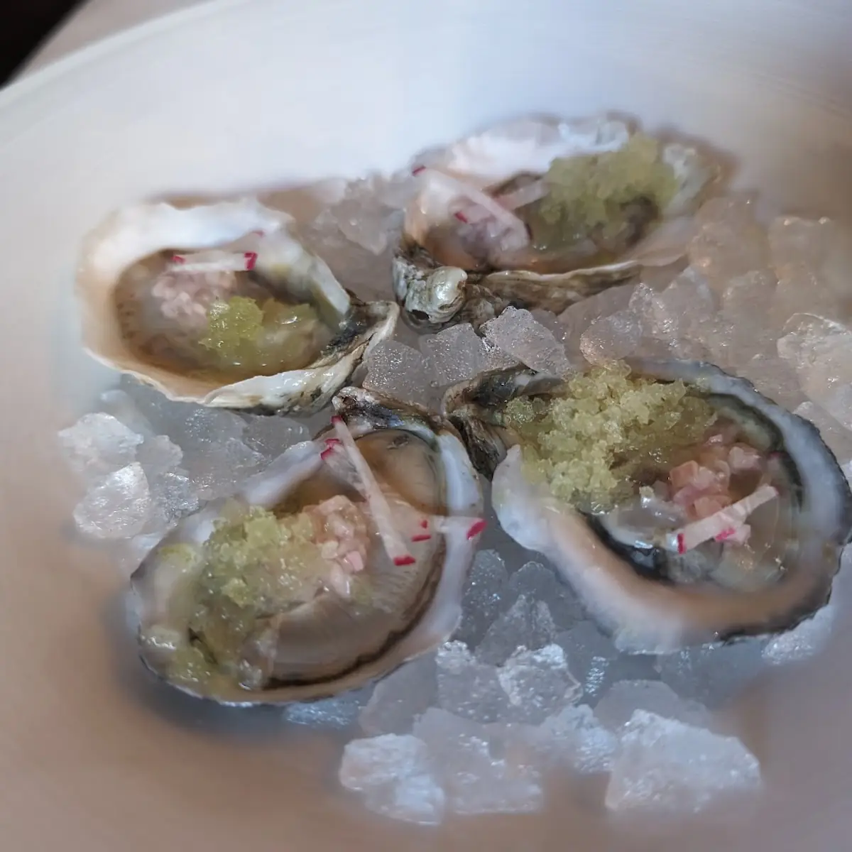 Mon Louis Gulf Oysters