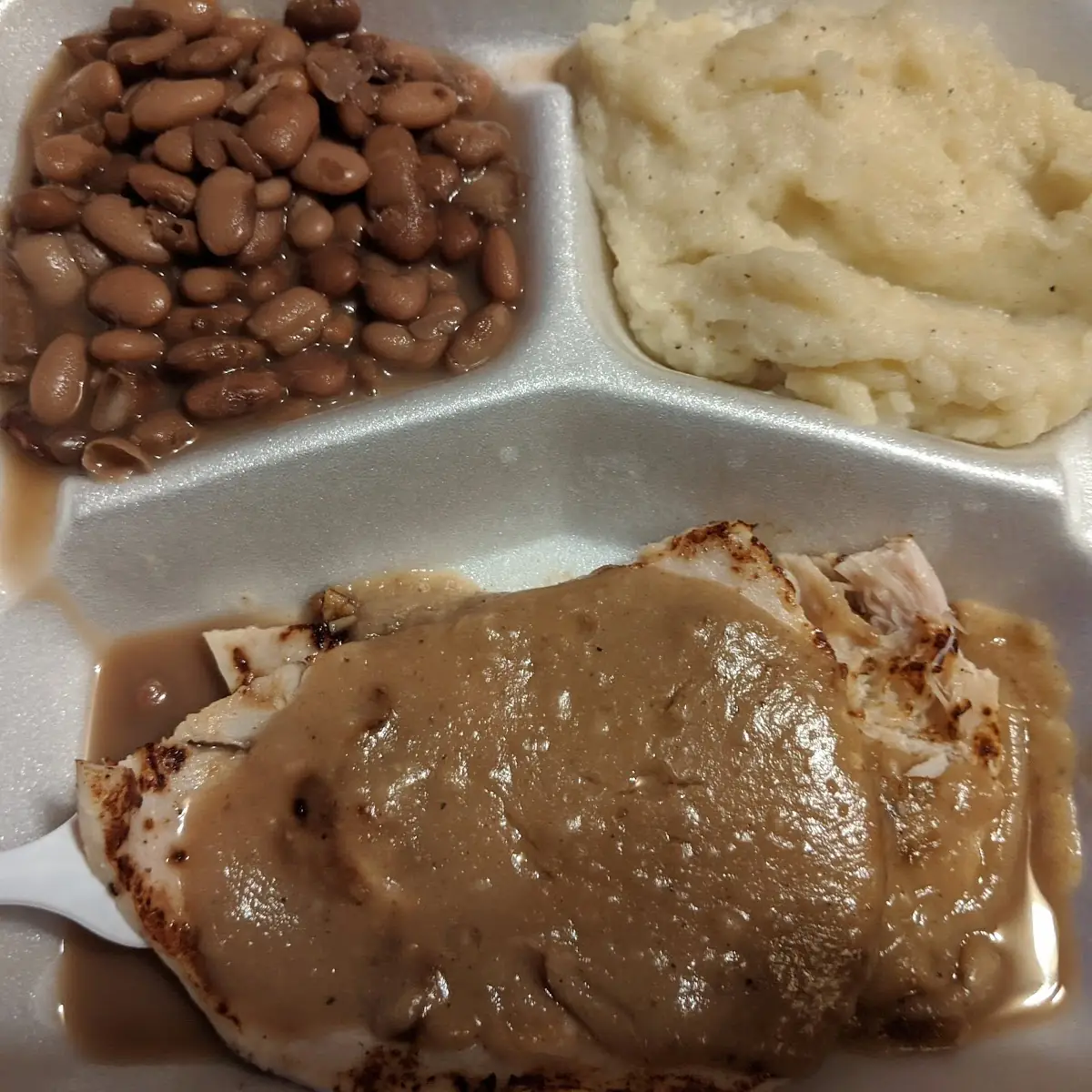 Turkey Looks Like Deli Meat