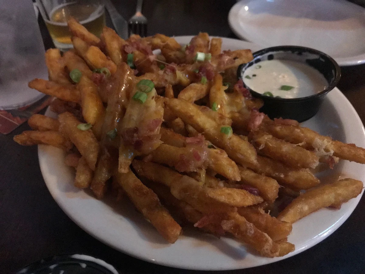 Loaded Fries