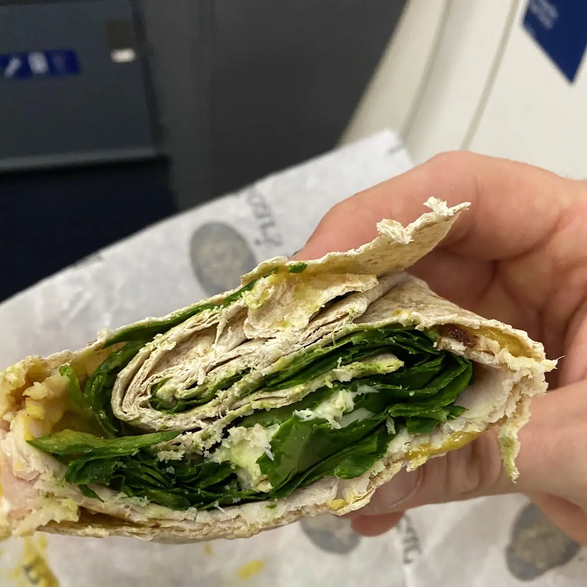 Egg White Protein Wrap
