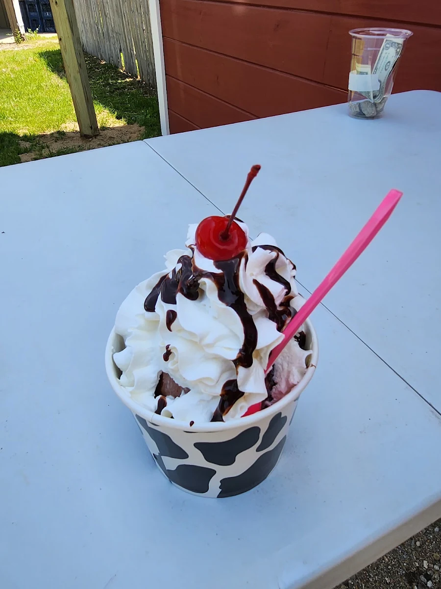 Chocolate Ice Cream Sundae