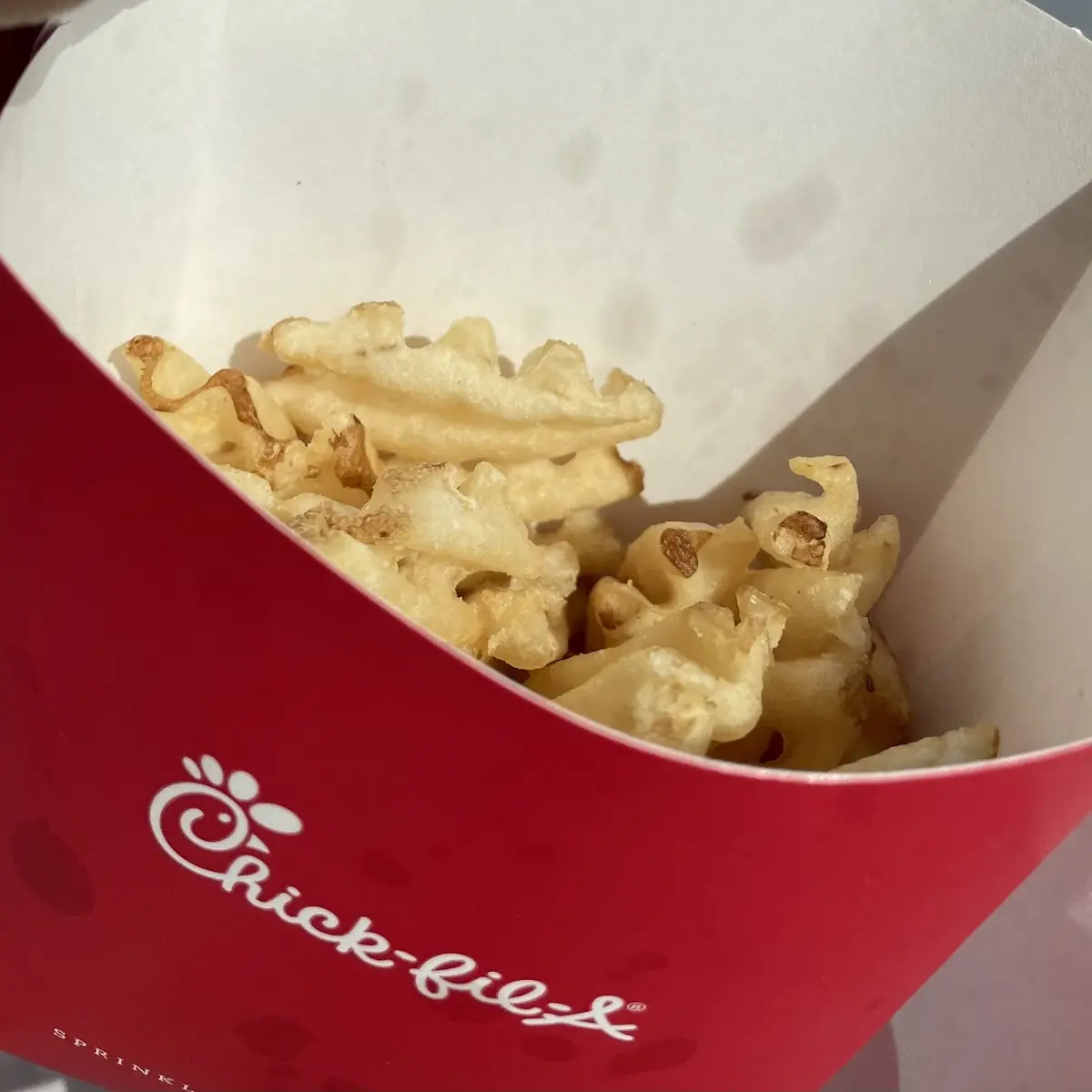 Cheese Fries