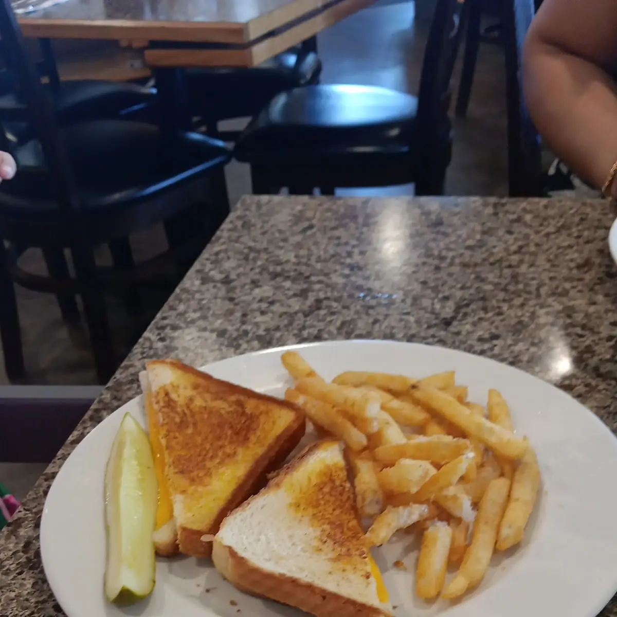 Grilled Cheese Sandwich and Fries
