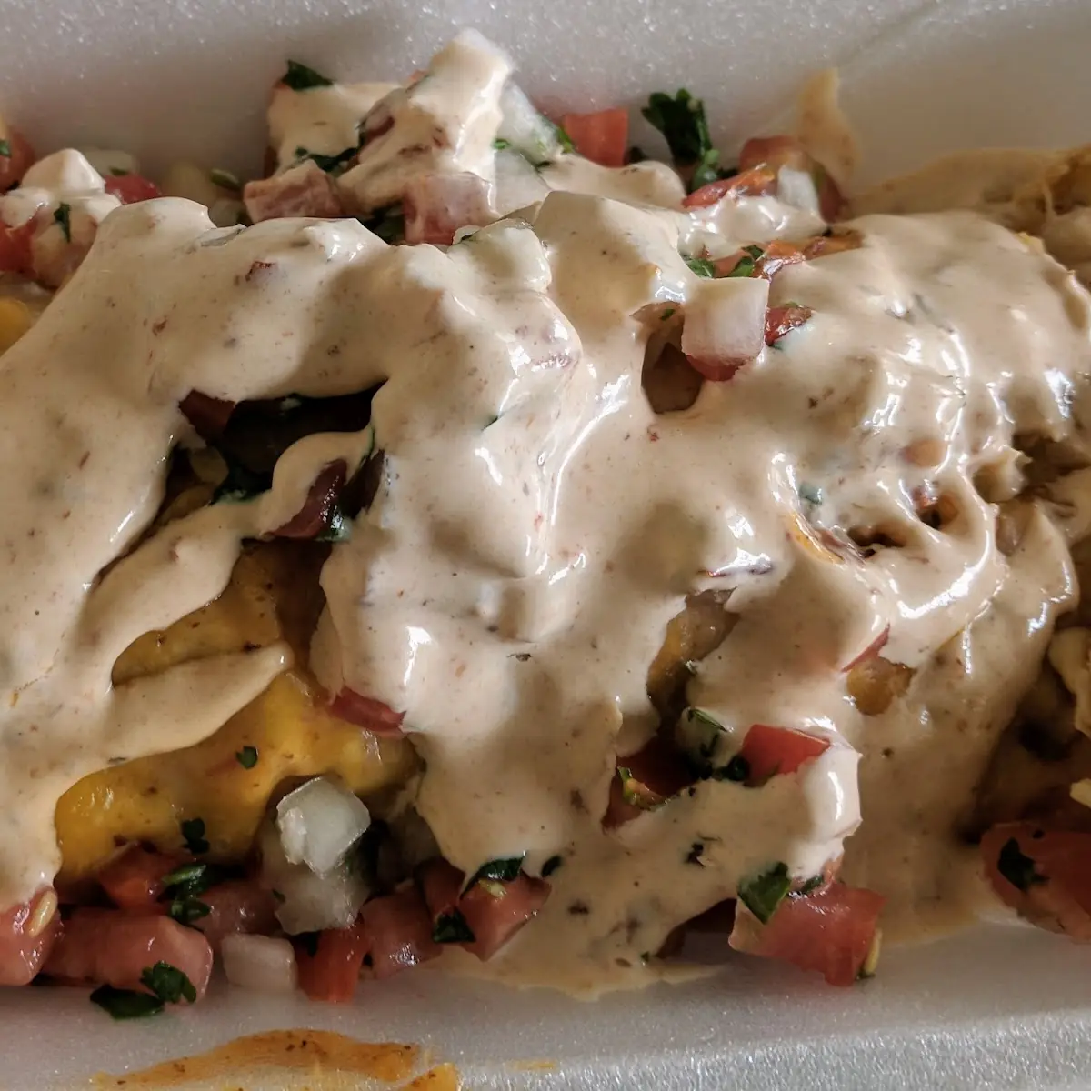 Chicken Burrito with Tomatillo Sauce