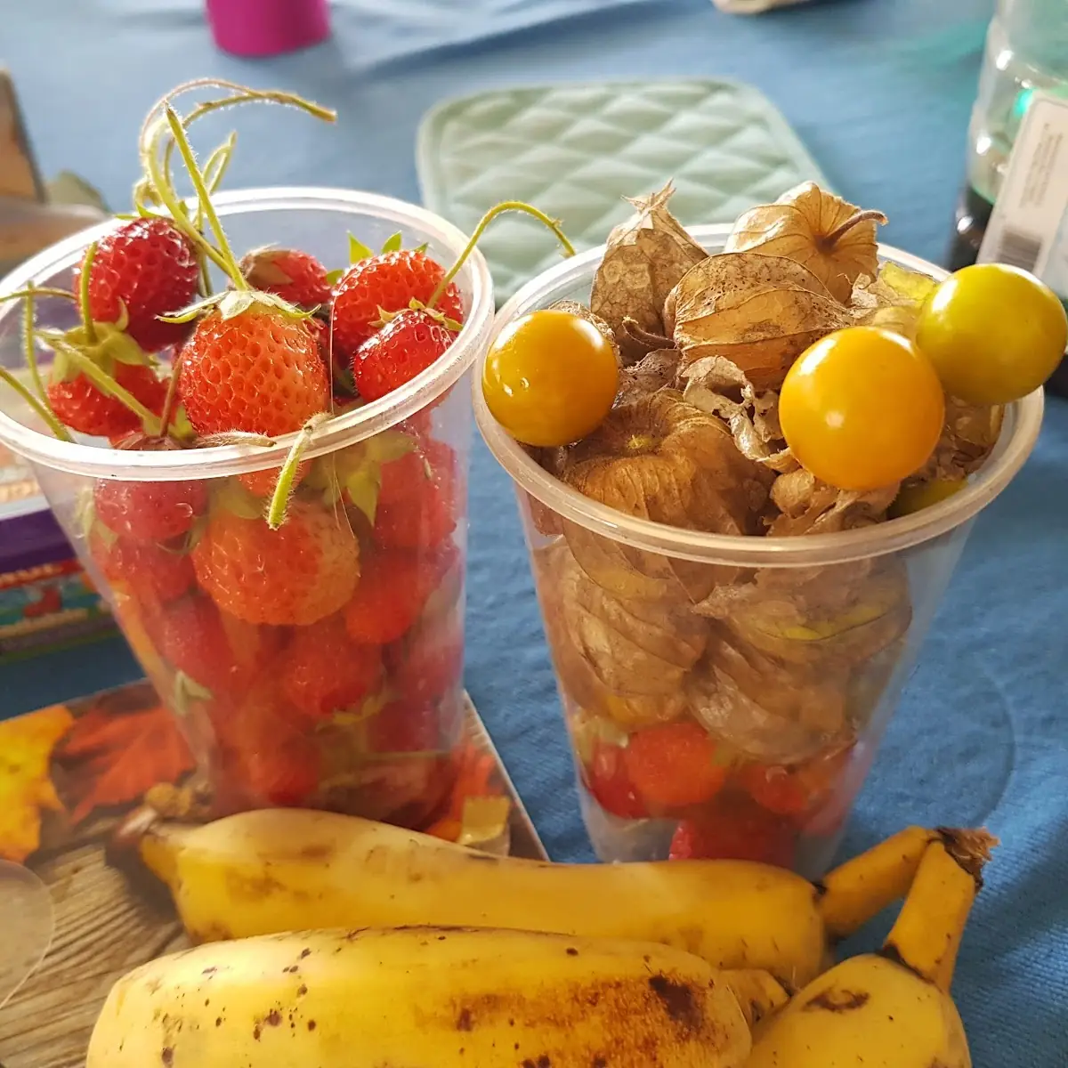 Fruit Cup