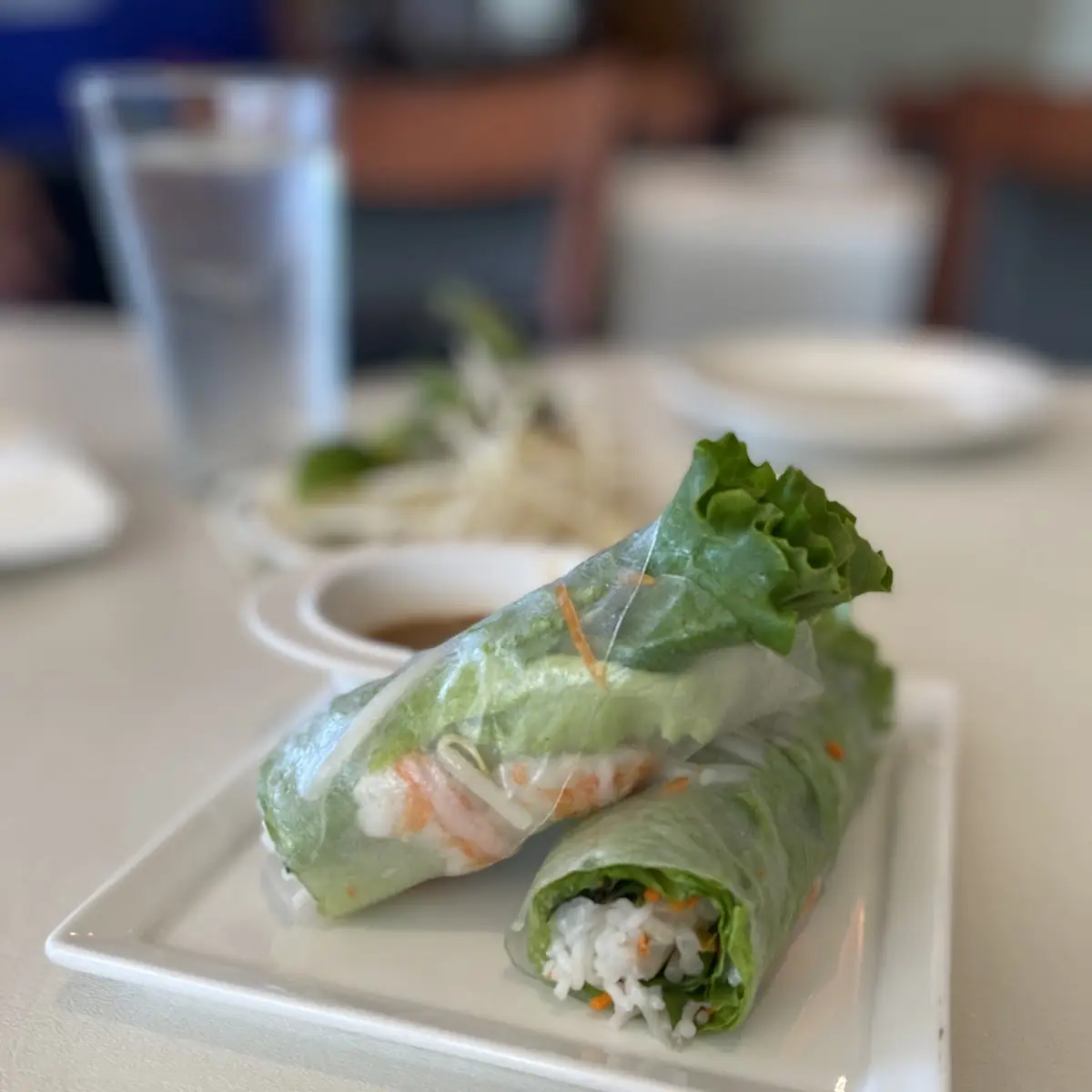 Spring Roll