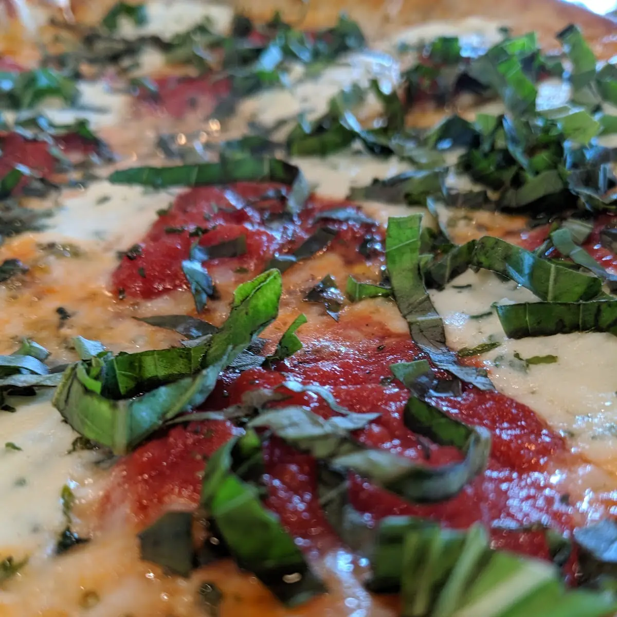 Ricotta and Basil Pizza