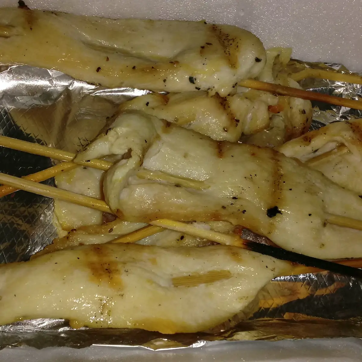 Plain Chicken Teriyaki for My Dog and for People Too