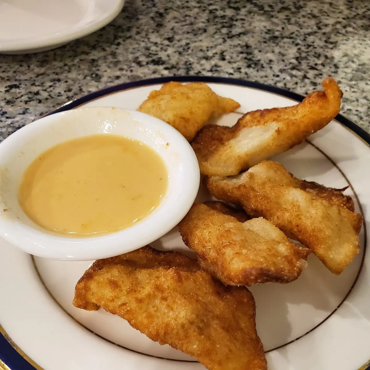 Fried Dumplings