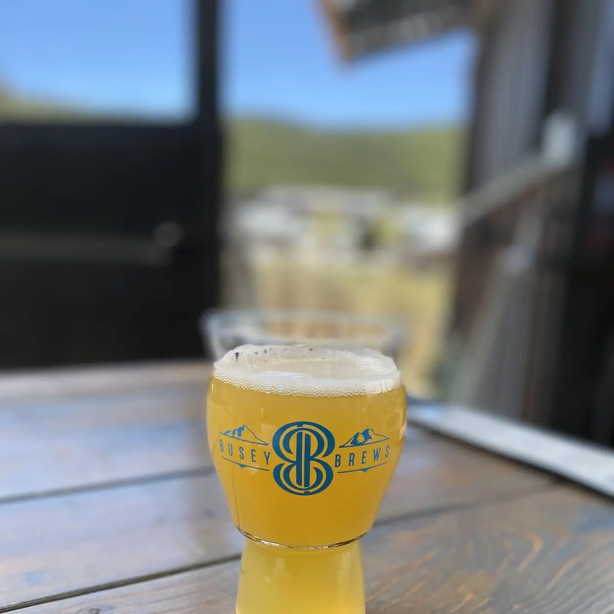 Craft Beer Glass