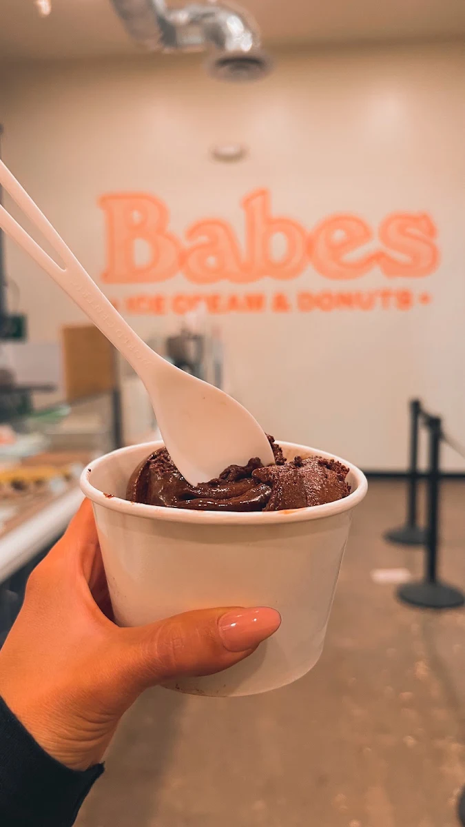 Chocolate Ice Cream
