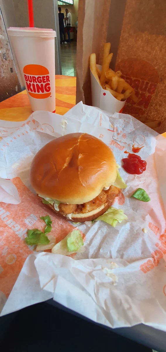Crispy Chicken