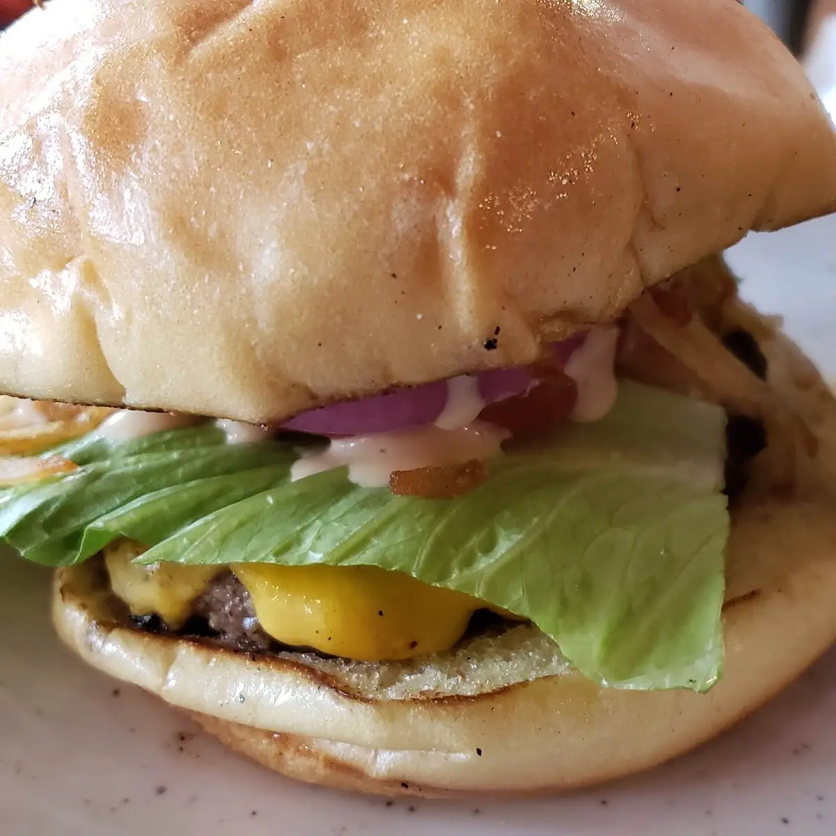 Toston Chicken Sandwich