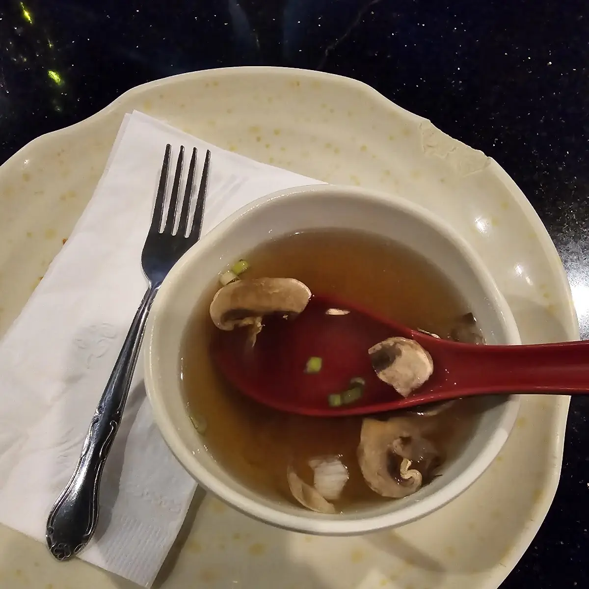 Onion Soup