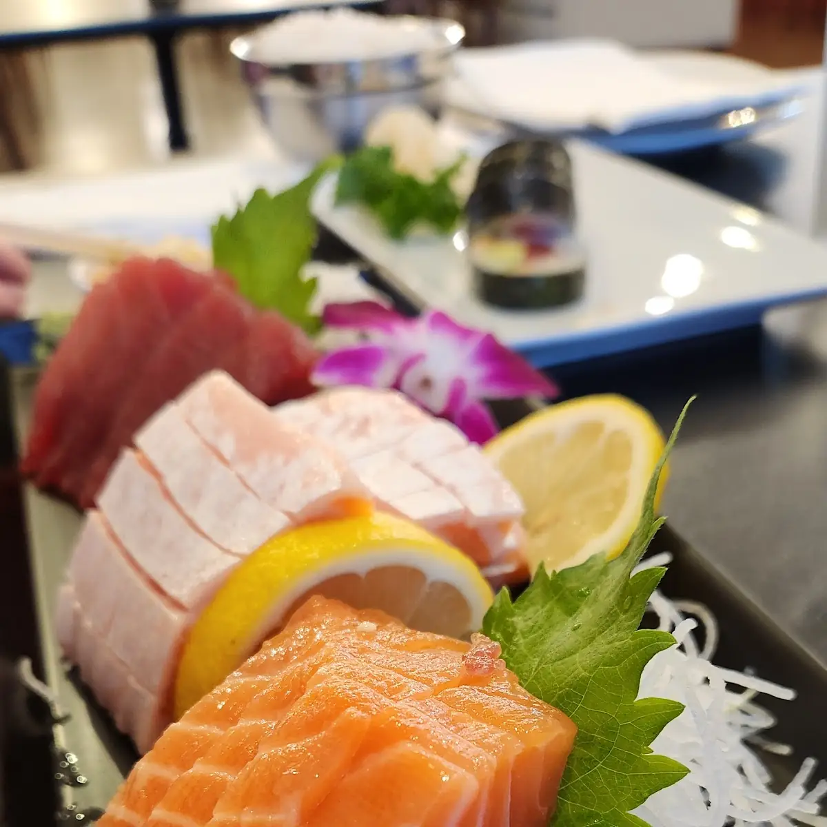 Salmon Sashimi