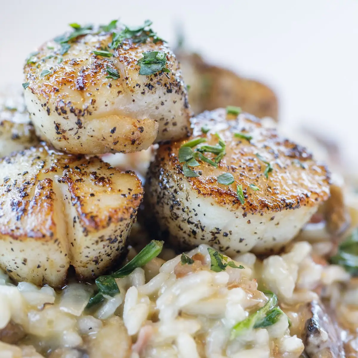Pan Seared Scallops or Salmon Risotto
