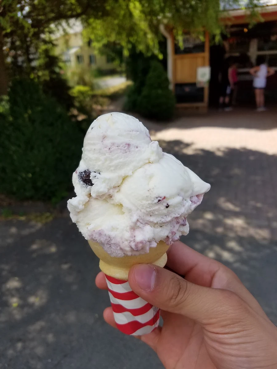 Gelato