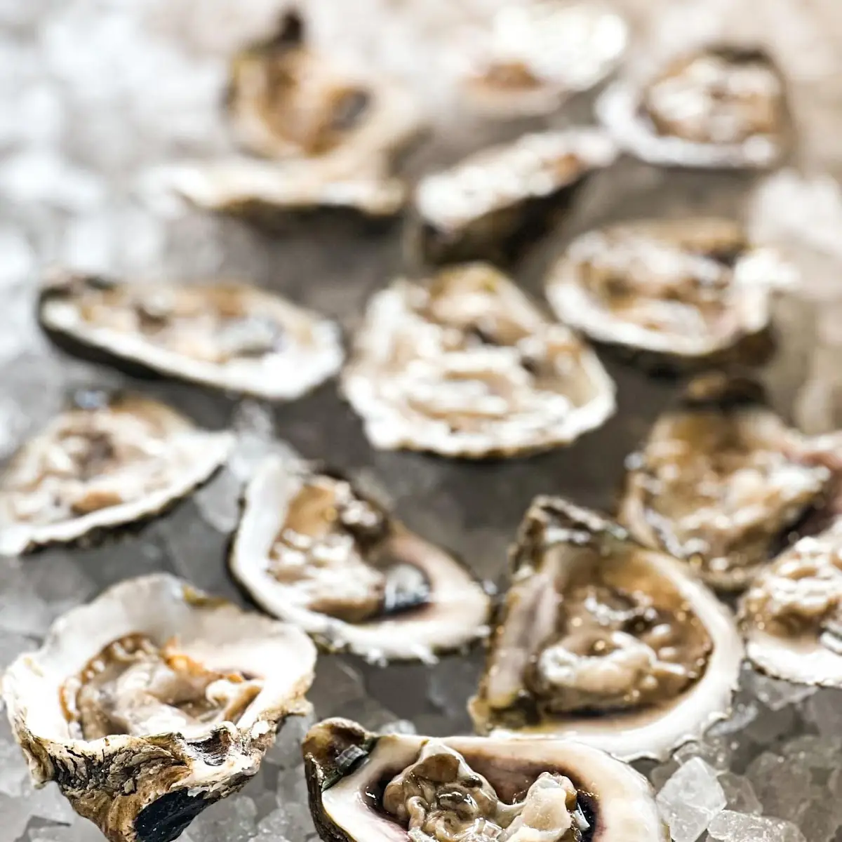 Baked Gulf Oysters Rockefeller