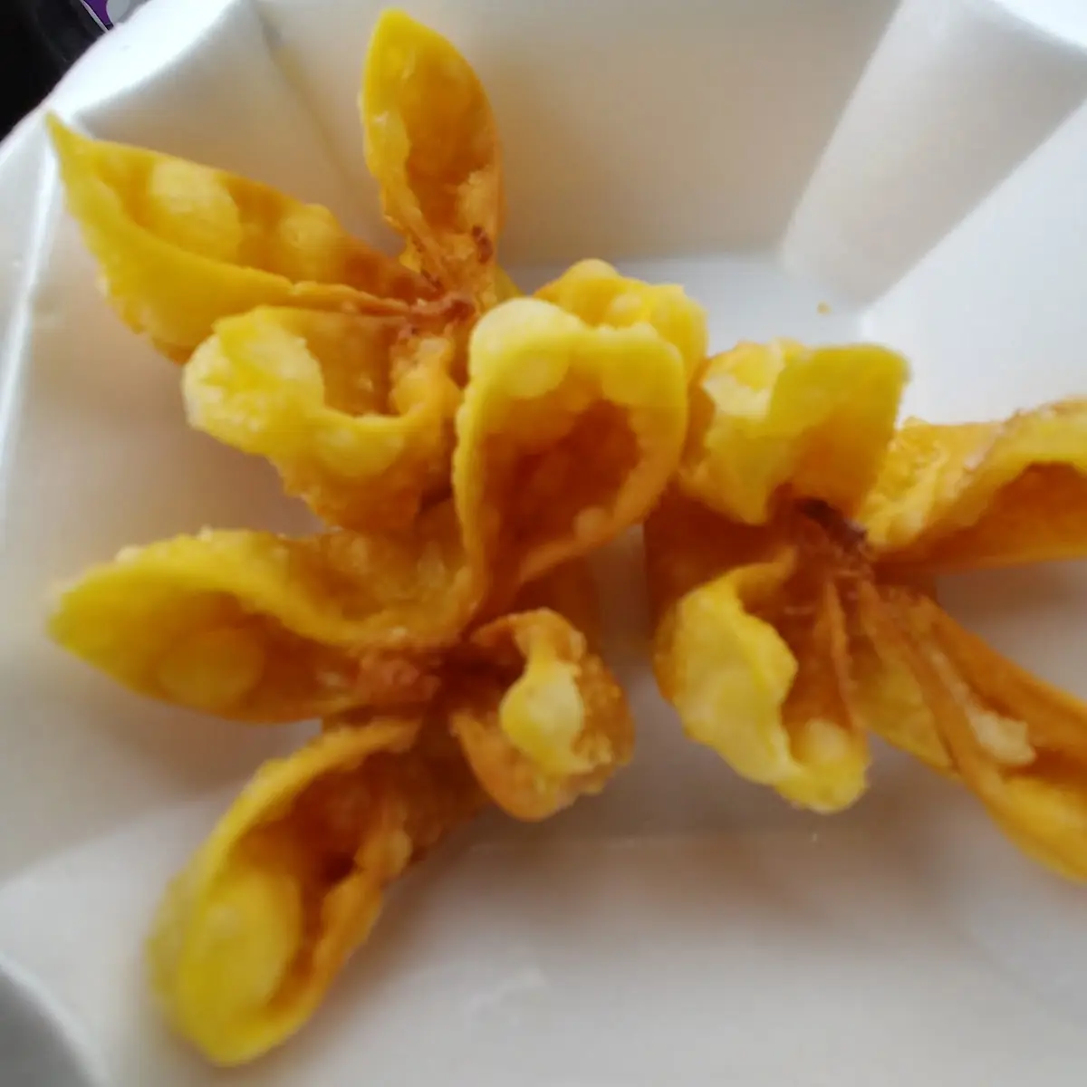 Fried Wonton 12