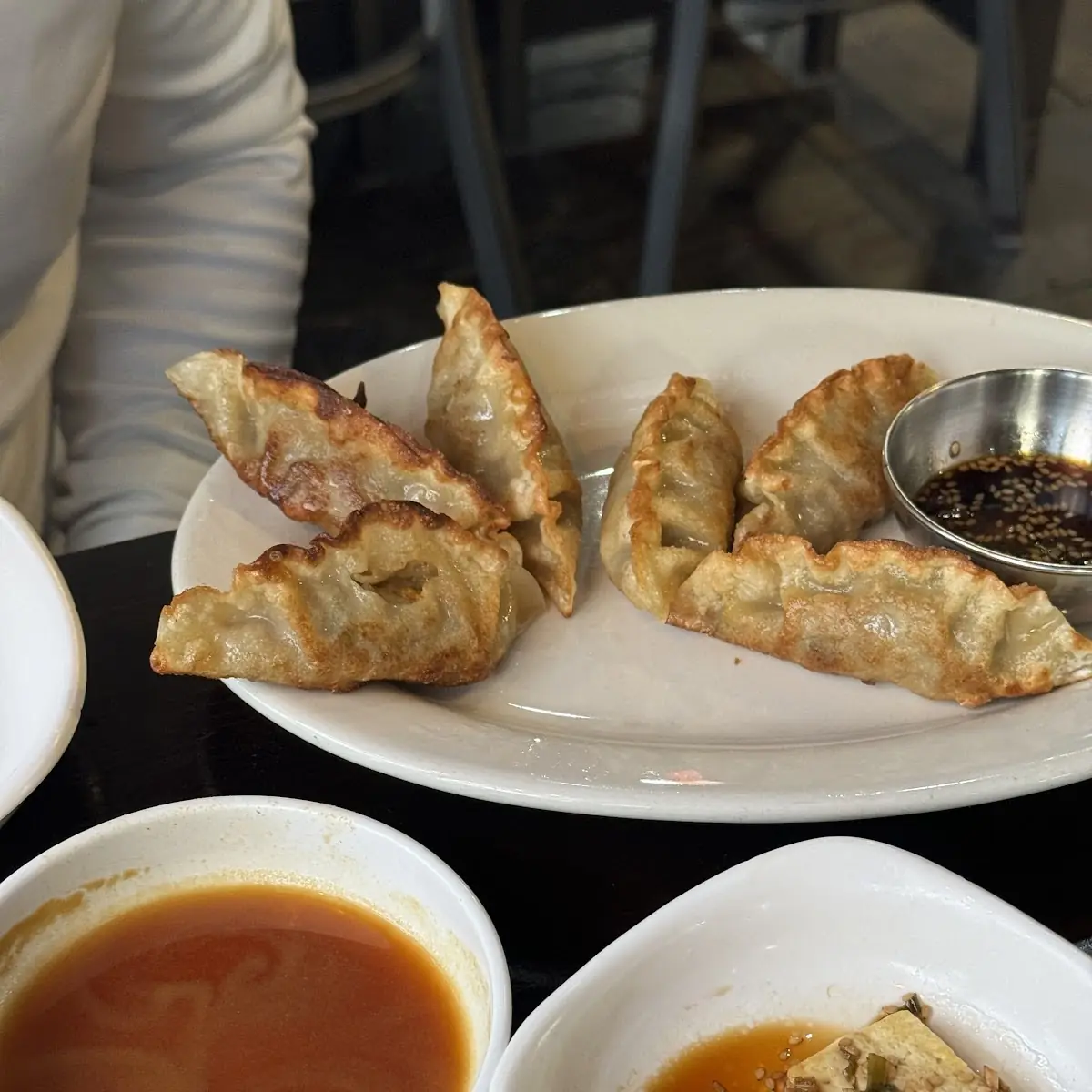 Fried Dumplings