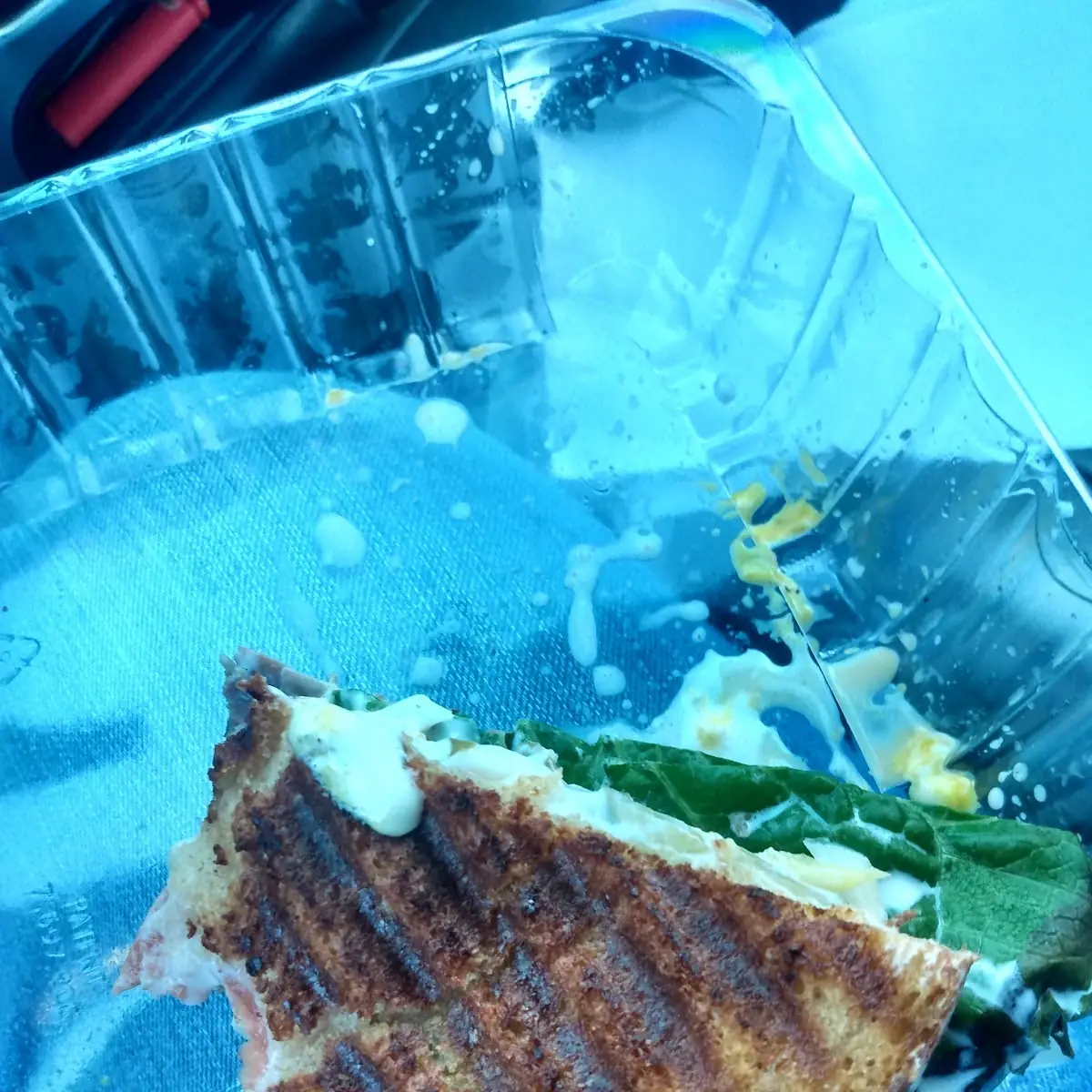 Roast Beef Panini