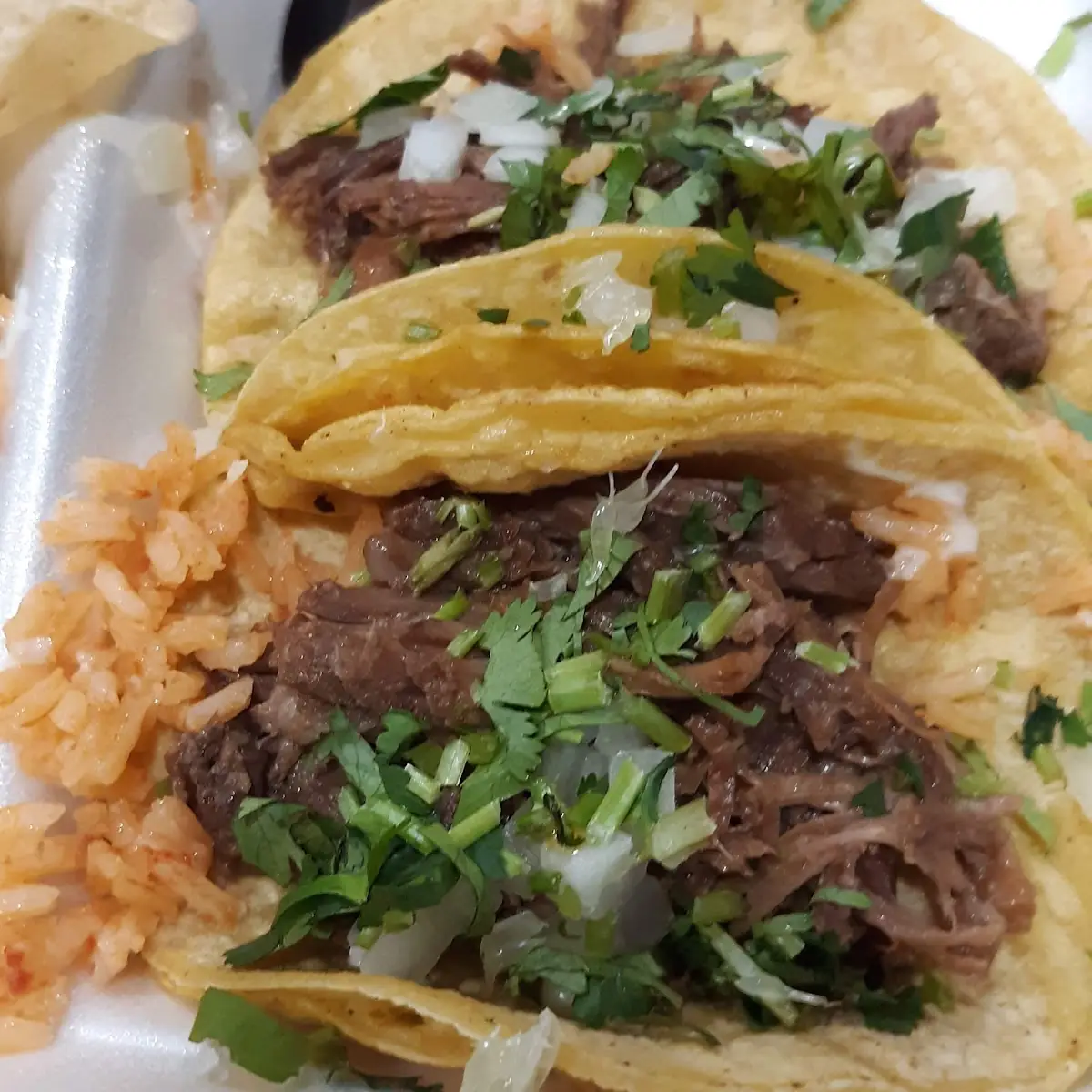 Barbacoa Taco Plate