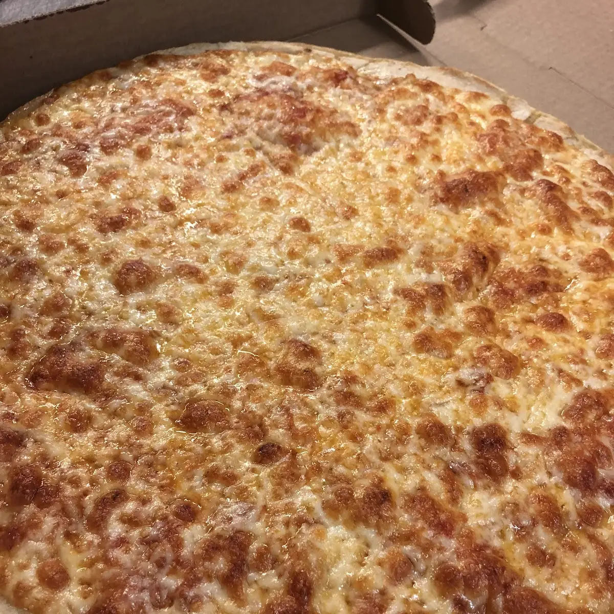Large Cheese Pizza