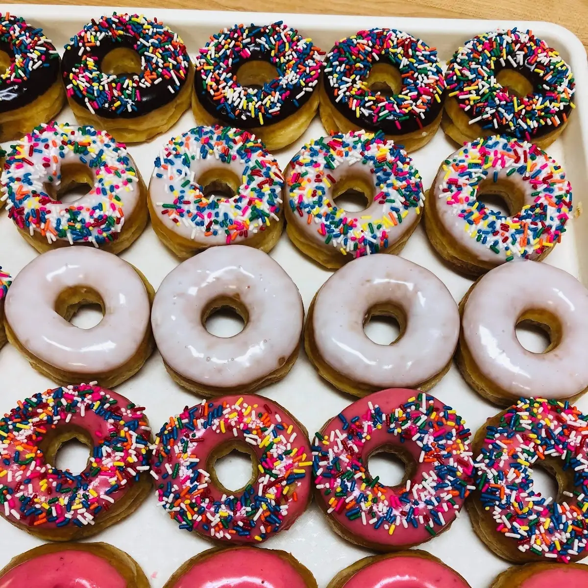 Doughnut