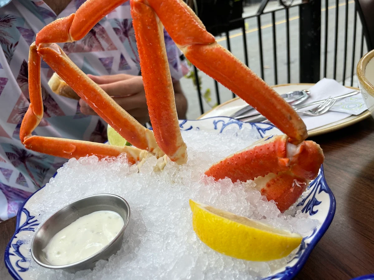 Snow Crab