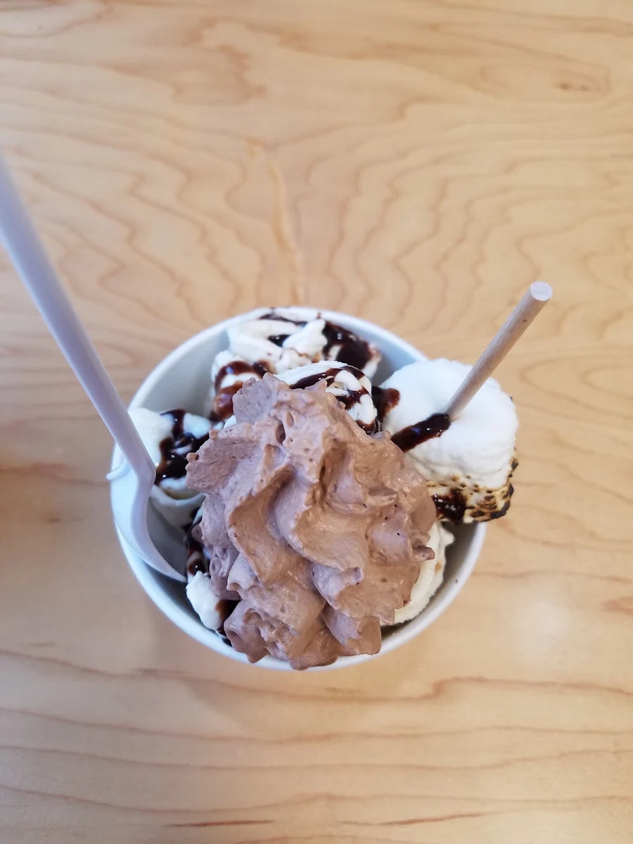 Chocolate Ice Cream