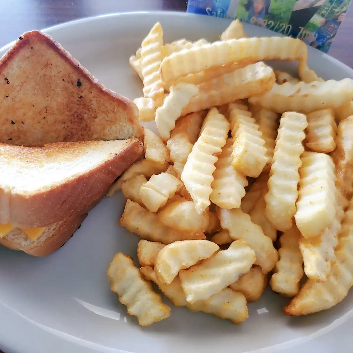 Grilled Cheese with Fries
