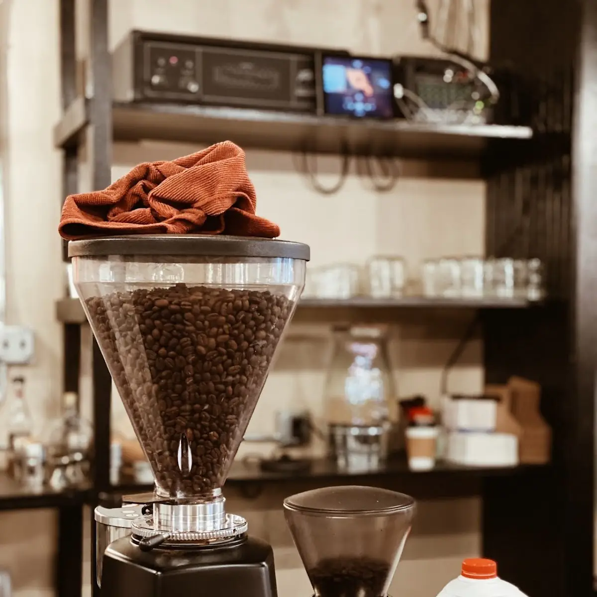 Cold Brew