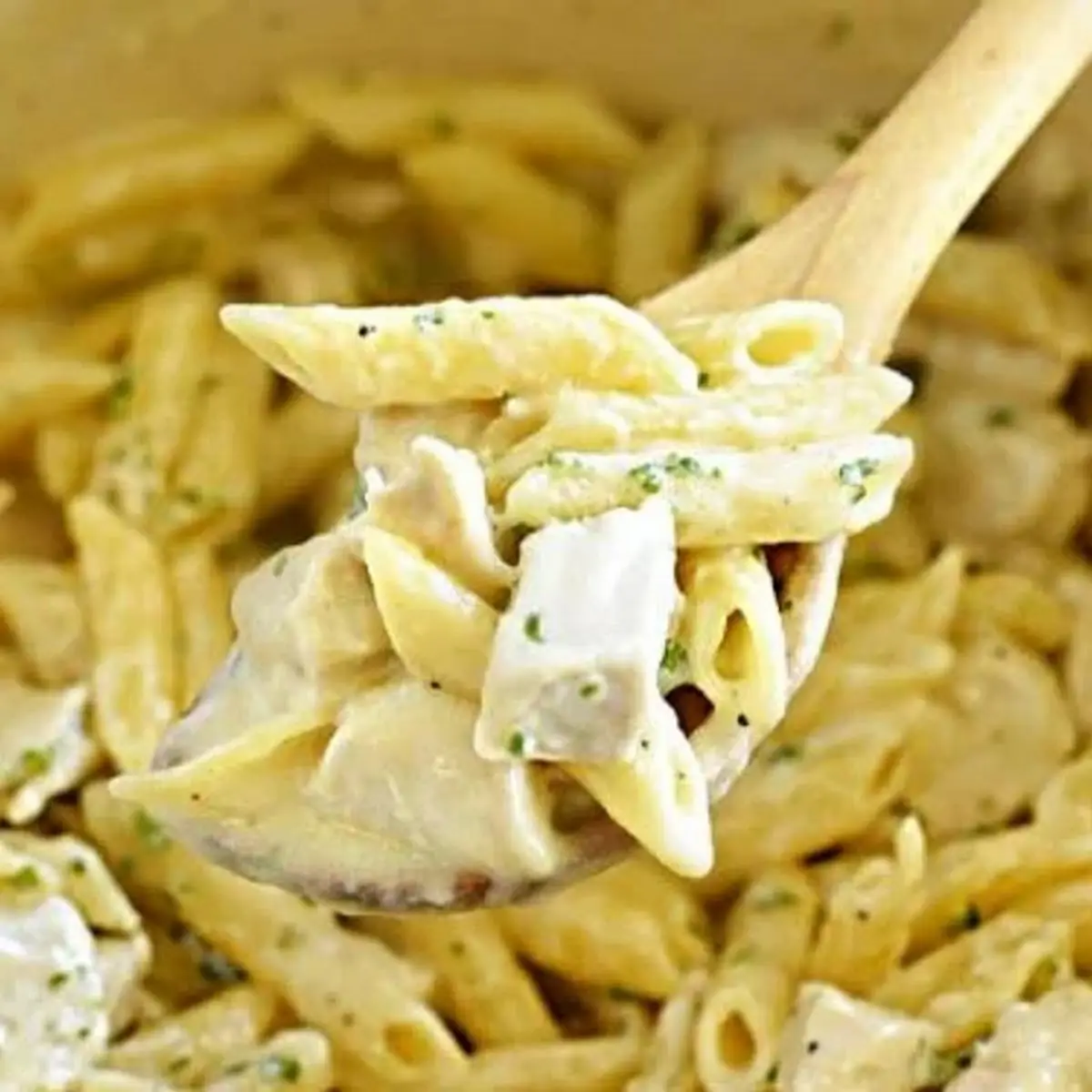 Penne Chicken Alfredo