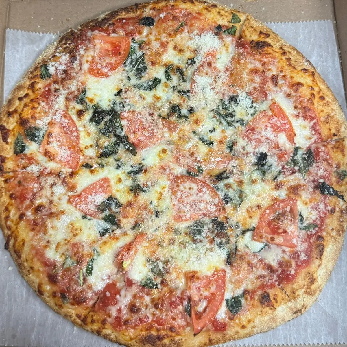Vegan Cheese Pizza