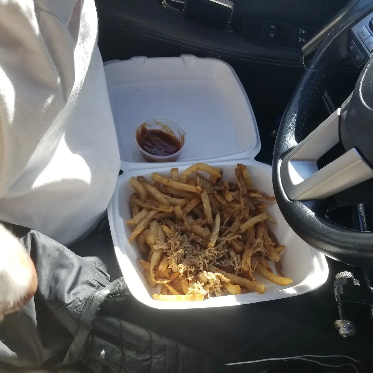 Hand Cut Fries w Pulled Pork