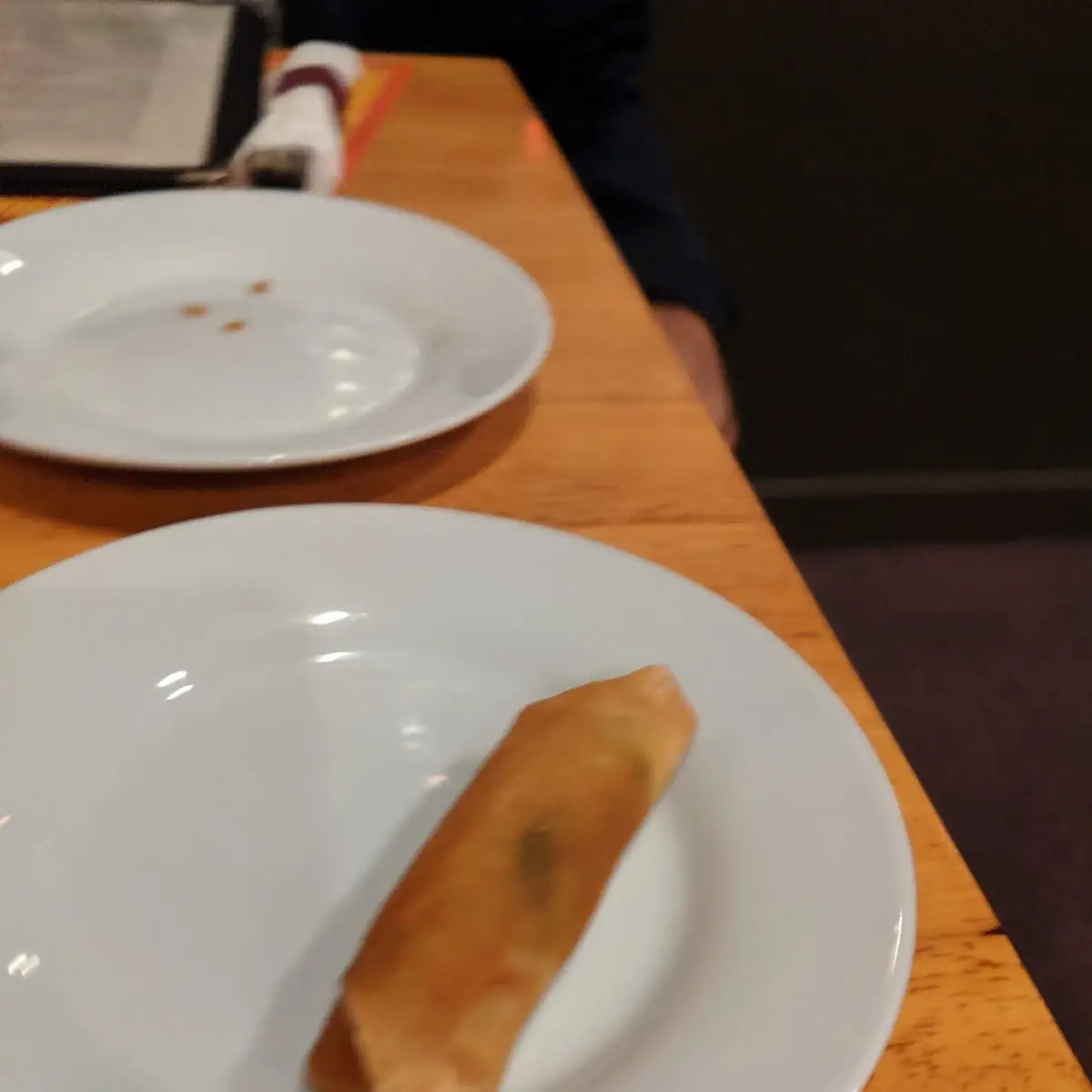 Vegetable Spring Rolls 4