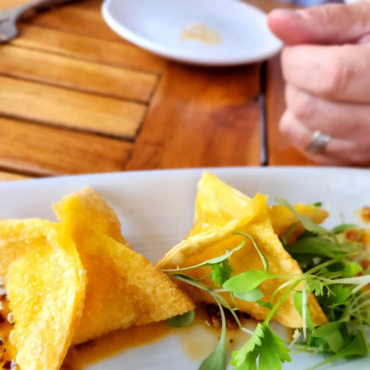 Crab Rangoon