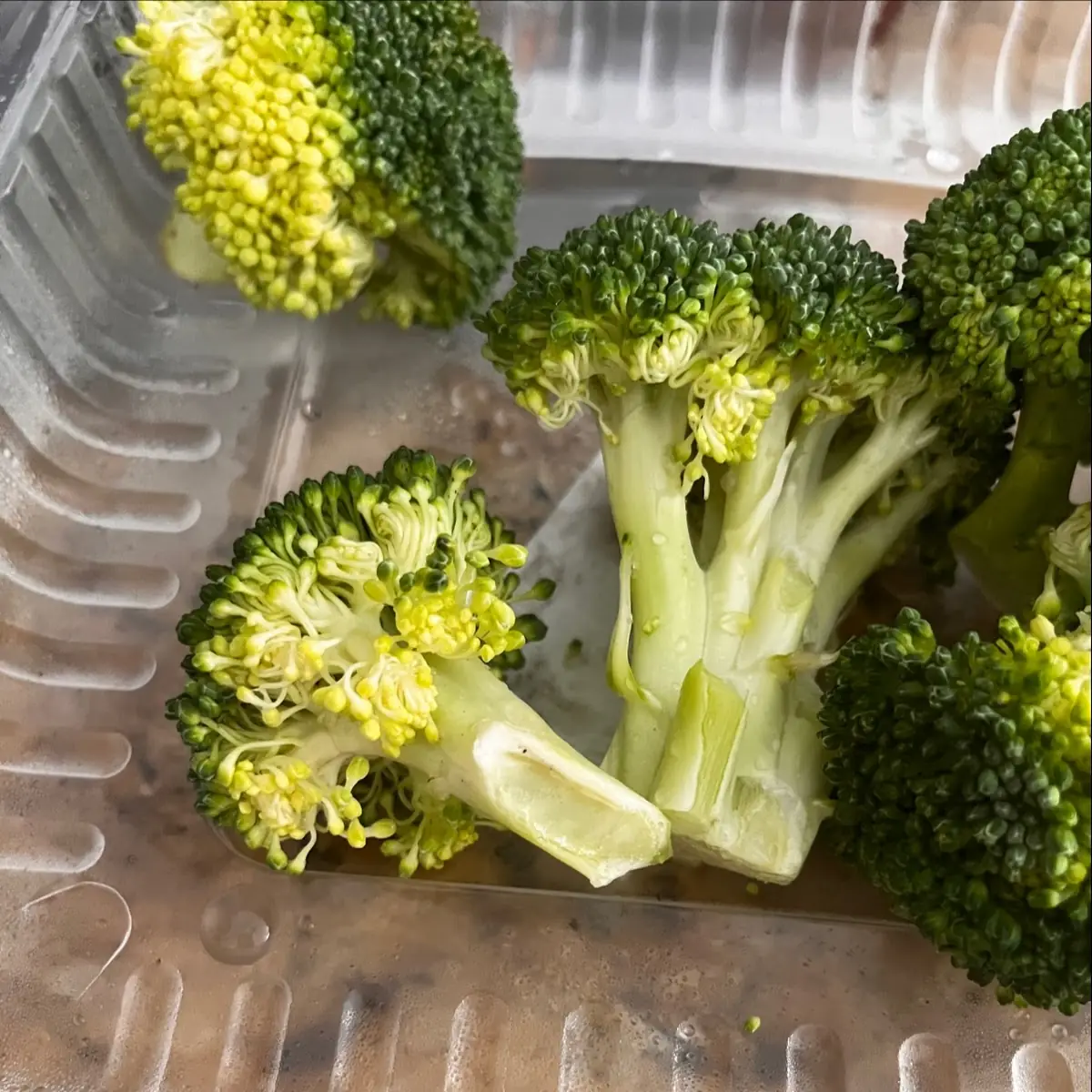 Steamed Broccoli